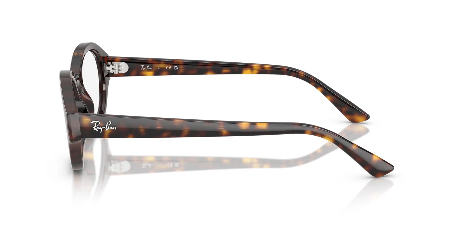 Ray-Ban Shilo 7257F Eyeglasses - view 18